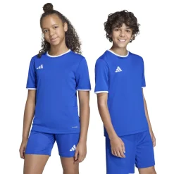 adidas Entrada 26 Voetbalshirt Kids Blauw Wit