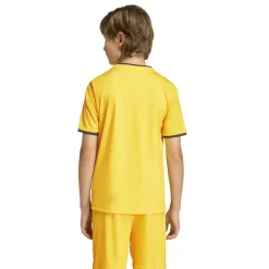 adidas Entrada 26 Voetbaltenue Kids Geel Zwart