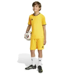 adidas Entrada 26 Voetbaltenue Kids Geel Zwart