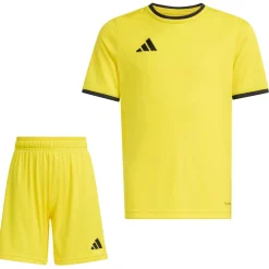 adidas Entrada 26 Voetbaltenue Kids Geel Zwart