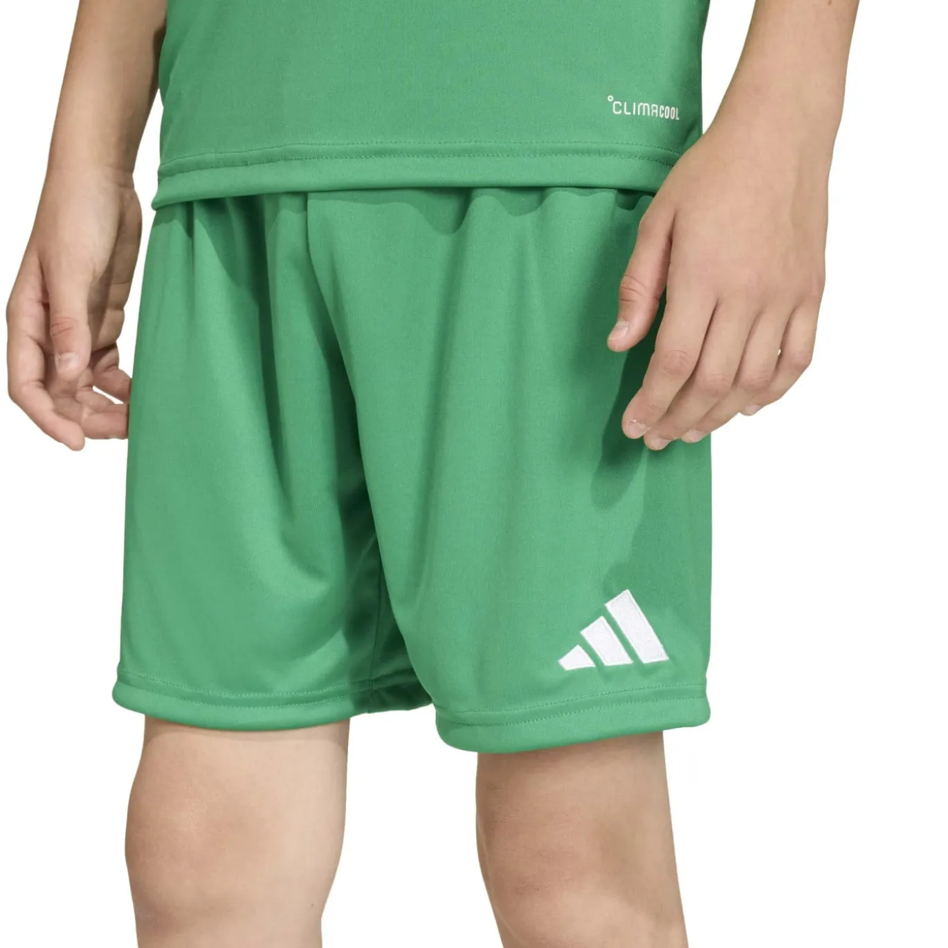 adidas Entrada 26 Voetbaltenue Kids Groen Wit