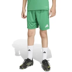 adidas Entrada 26 Voetbaltenue Kids Groen Wit