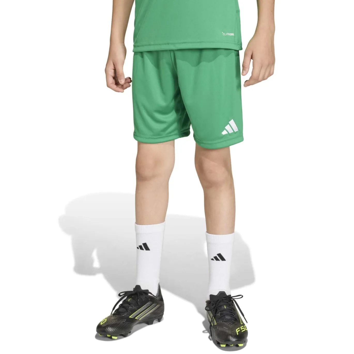 adidas Entrada 26 Voetbaltenue Kids Groen Wit