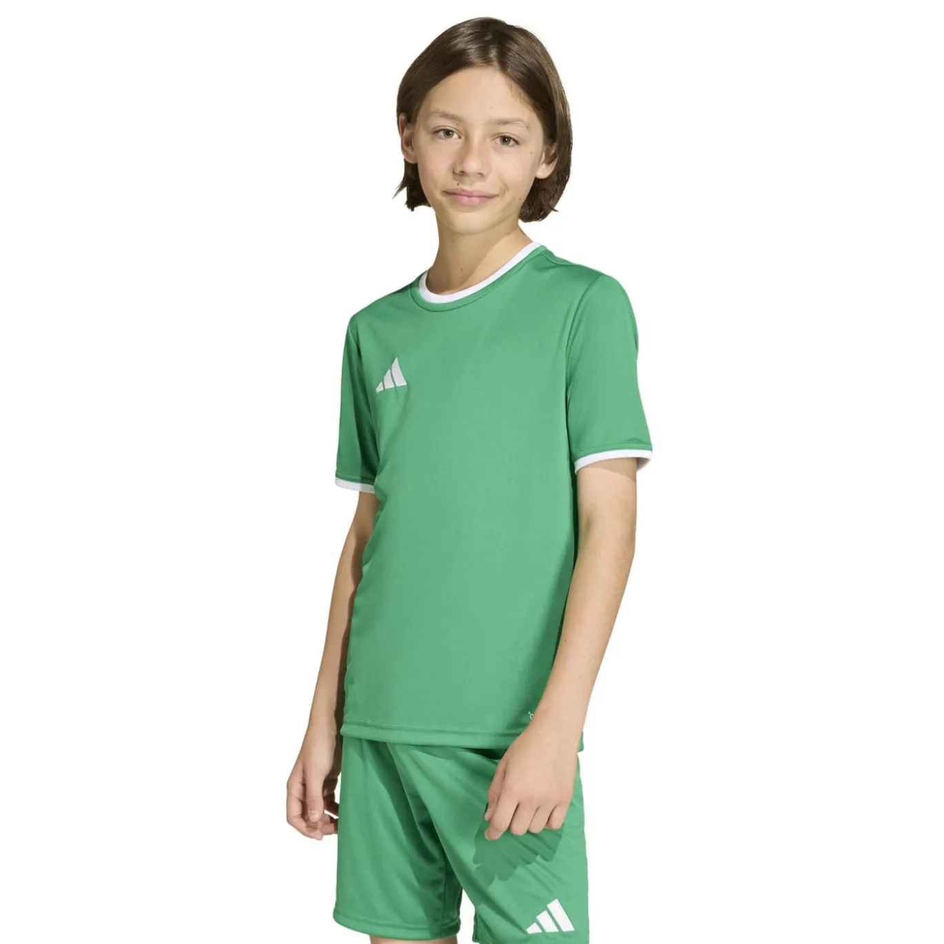 adidas Entrada 26 Voetbaltenue Kids Groen Wit