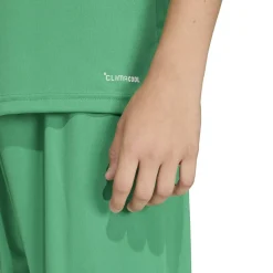 adidas Entrada 26 Voetbaltenue Kids Groen Wit