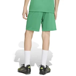 adidas Entrada 26 Voetbaltenue Kids Groen Wit