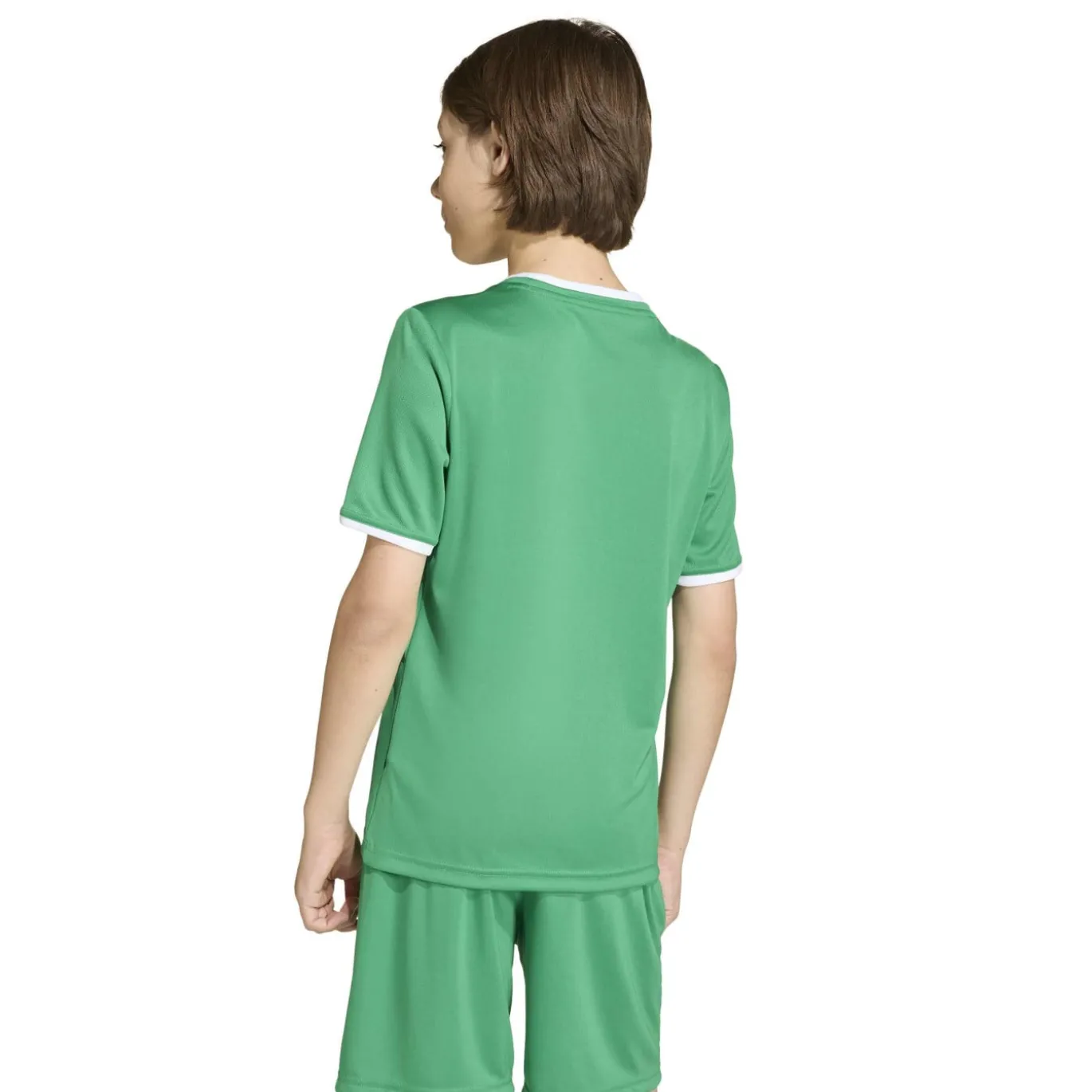 adidas Entrada 26 Voetbaltenue Kids Groen Wit