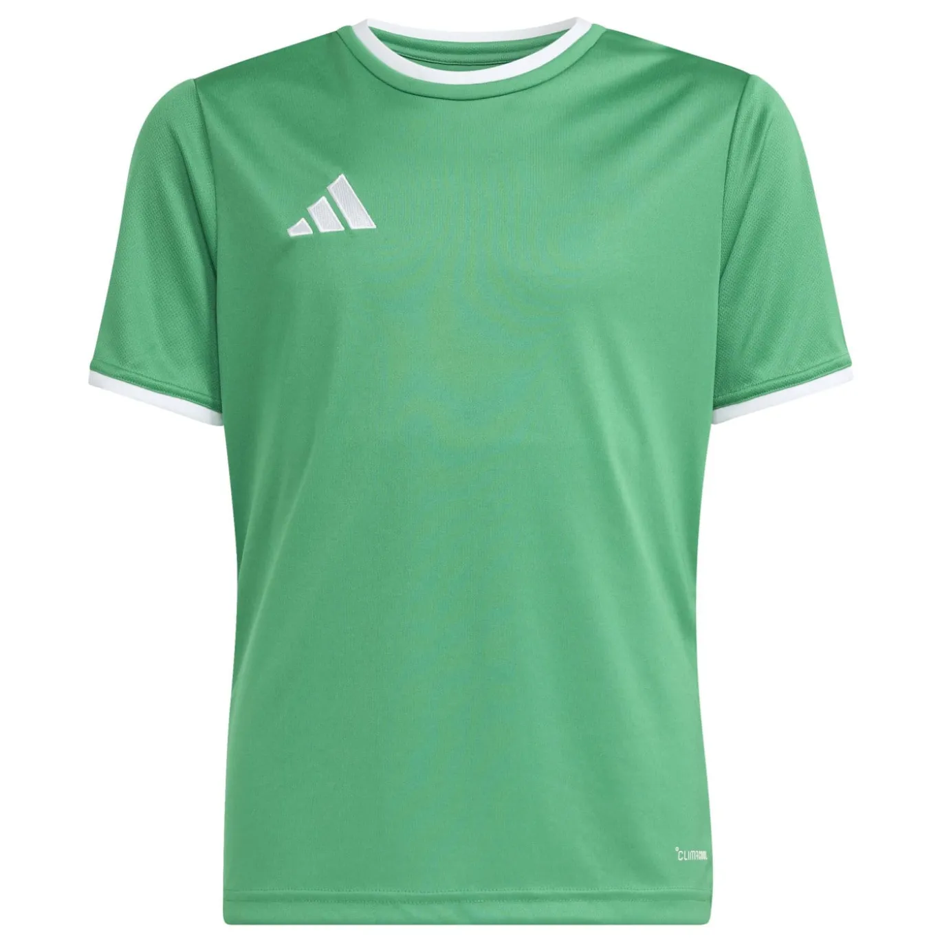 adidas Entrada 26 Voetbaltenue Kids Groen Wit