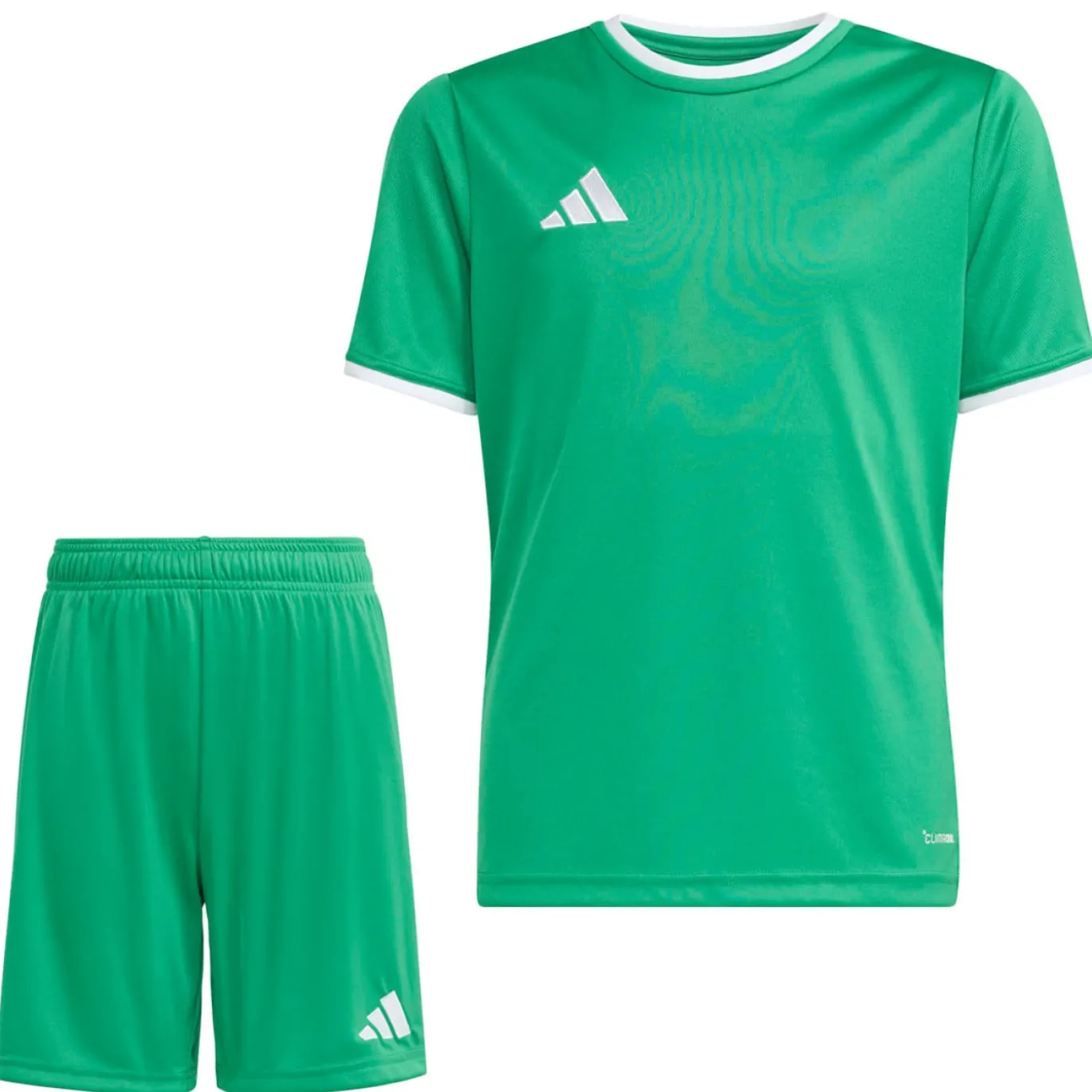 adidas Entrada 26 Voetbaltenue Kids Groen Wit