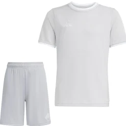 adidas Entrada 26 Voetbaltenue Kids Grijs Wit