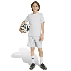 adidas Entrada 26 Voetbaltenue Kids Grijs Wit