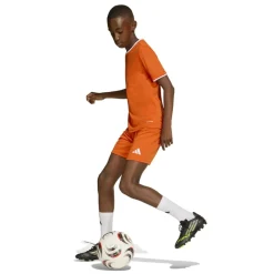 adidas Entrada 26 Voetbaltenue Kids Oranje Wit