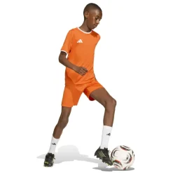 adidas Entrada 26 Voetbaltenue Kids Oranje Wit