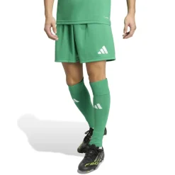 adidas Entrada 26 Voetbaltenue Groen Wit