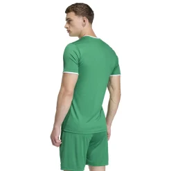 adidas Entrada 26 Voetbaltenue Groen Wit