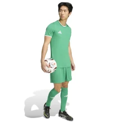 adidas Entrada 26 Voetbaltenue Groen Wit