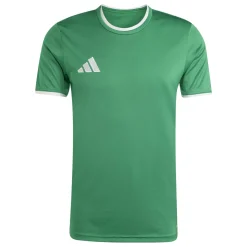 adidas Entrada 26 Voetbaltenue Groen Wit