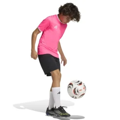 adidas Entrada 26 Voetbaltenue Kids Roze Zwart