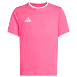 adidas Entrada 26 Voetbaltenue Kids Roze Zwart