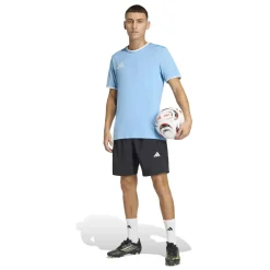 adidas Entrada 26 Voetbaltenue Lichtblauw Zwart