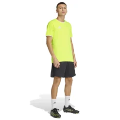 adidas Entrada 26 Voetbaltenue Felgeel Zwart