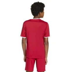 adidas Entrada 26 Voetbaltenue Kids Rood Wit