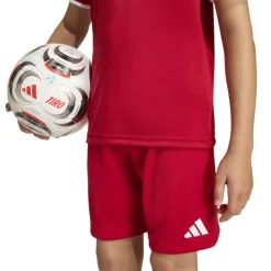 adidas Entrada 26 Voetbaltenue Kids Rood Wit