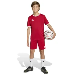 adidas Entrada 26 Voetbaltenue Kids Rood Wit