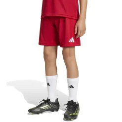 adidas Entrada 26 Voetbaltenue Kids Rood Wit