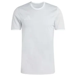 adidas Entrada 26 Voetbaltenue Grijs Wit
