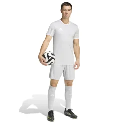 adidas Entrada 26 Voetbaltenue Grijs Wit
