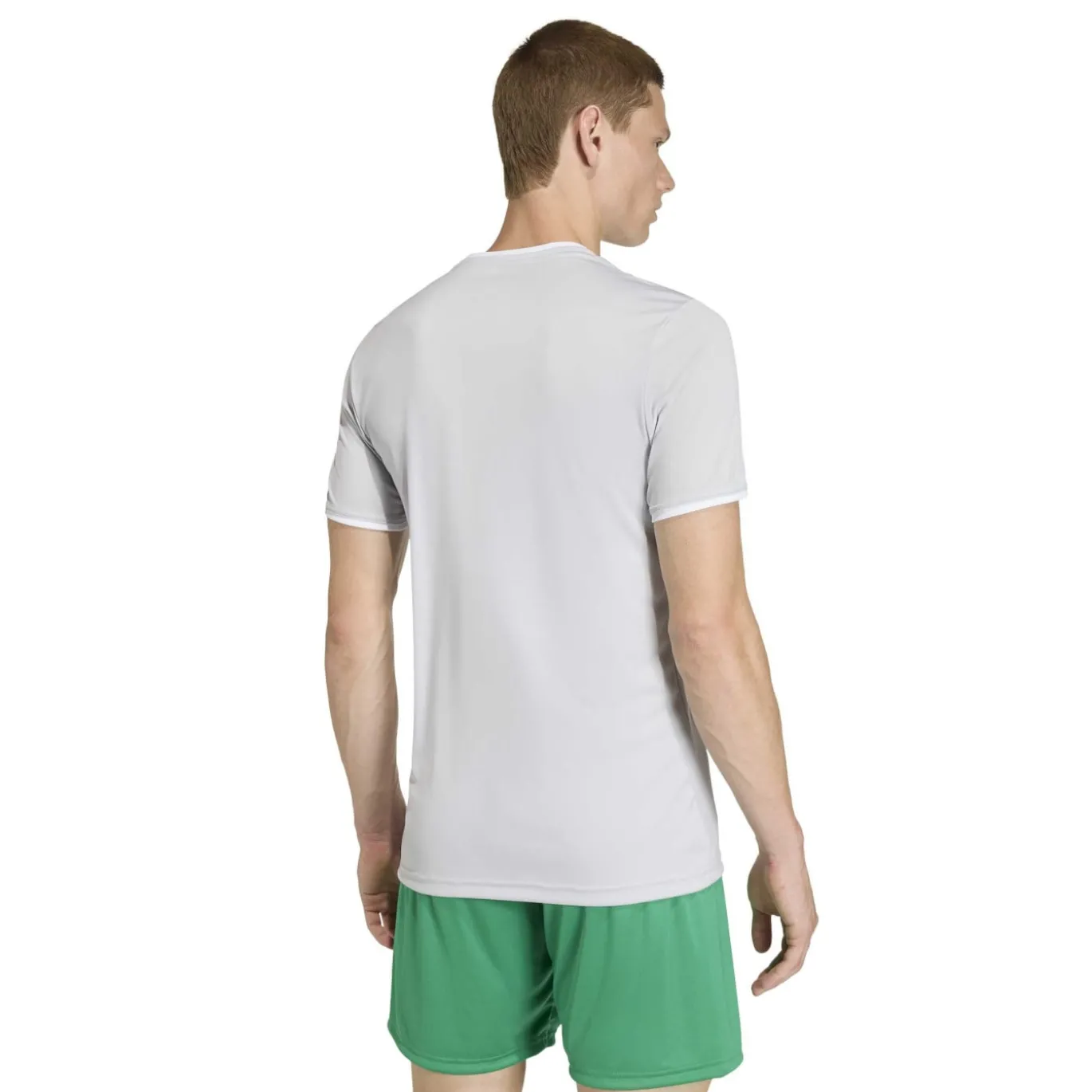 adidas Entrada 26 Voetbaltenue Grijs Wit