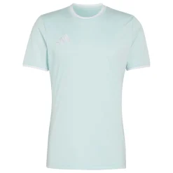 adidas Entrada 26 Voetbaltenue Mintgroen Zwart