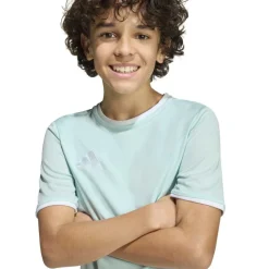 adidas Entrada 26 Voetbaltenue Kids Mintgroen Zwart