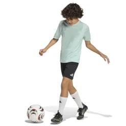 adidas Entrada 26 Voetbaltenue Kids Mintgroen Zwart