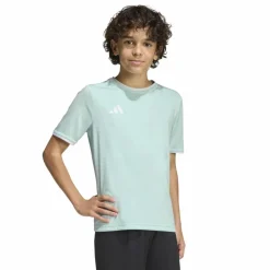 adidas Entrada 26 Voetbaltenue Kids Mintgroen Zwart