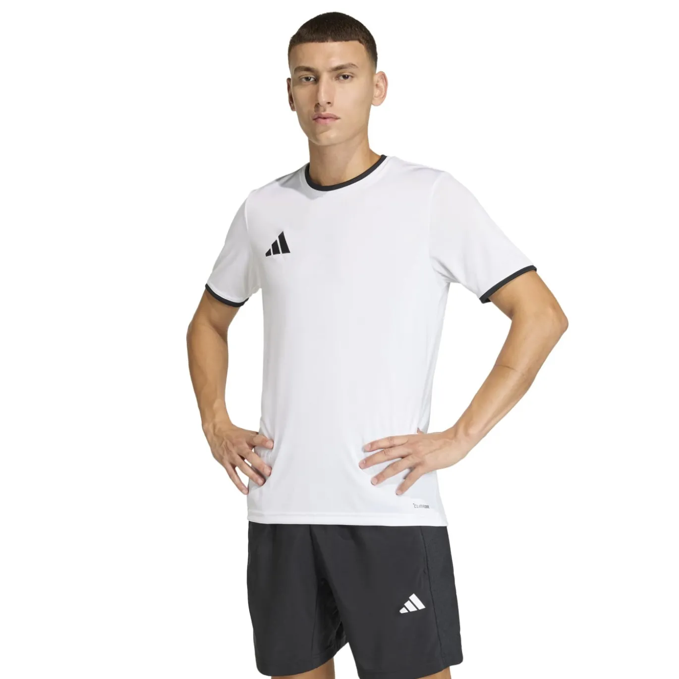 adidas Entrada 26 Voetbaltenue Wit Zwart