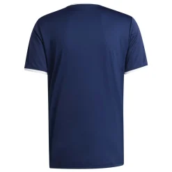 adidas Entrada 26 Voetbaltenue Donkerblauw Wit