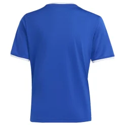 adidas Entrada 26 Voetbaltenue Kids Blauw Wit