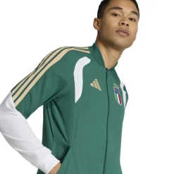 adidas Italië Presentatie Trainingsjack 2026-2028 Groen Wit Goud