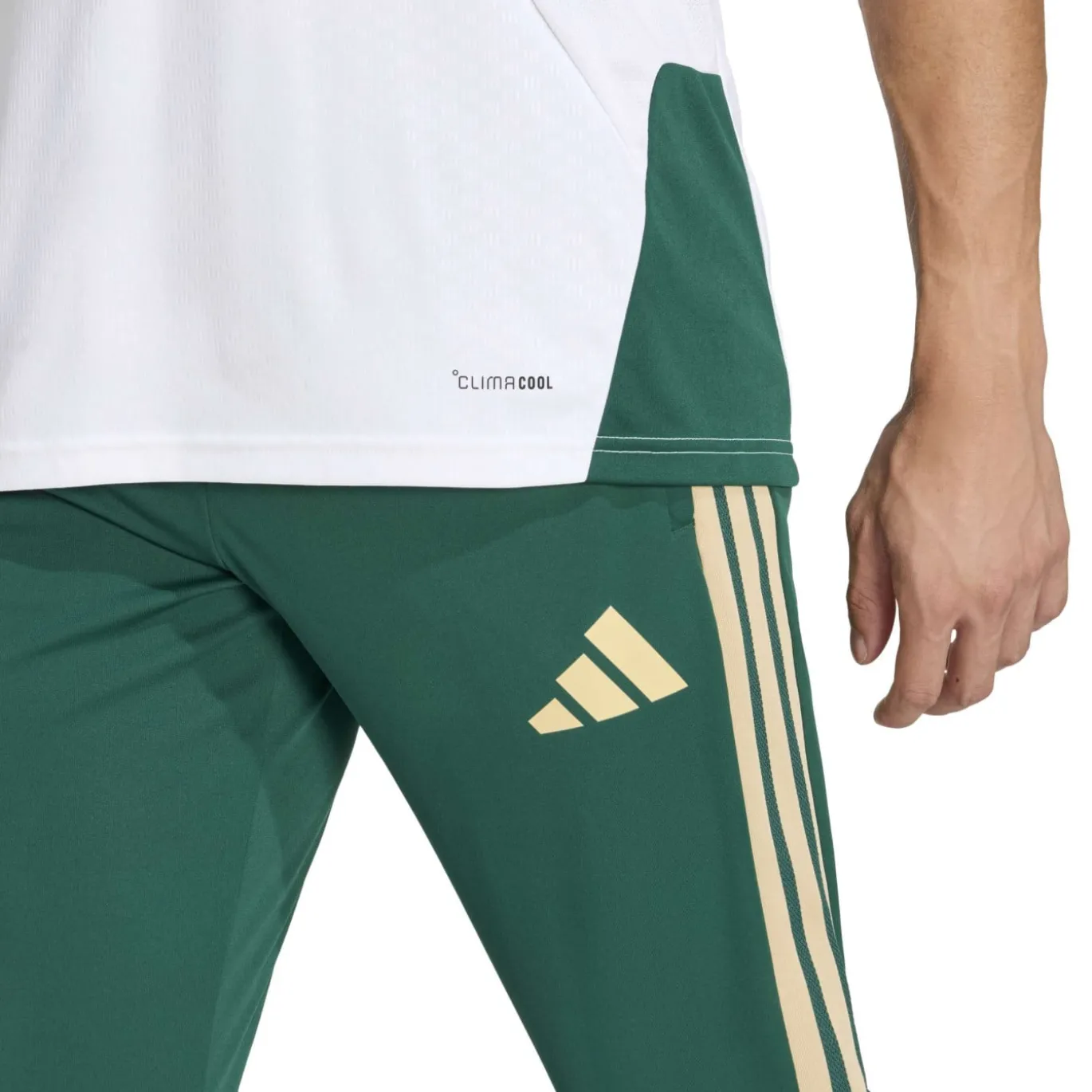 adidas Italië Trainingspak Hooded 2026-2028 Wit Groen Goud