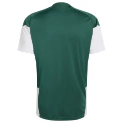adidas Italië Trainingsset 2026-2028 Groen Wit Goud
