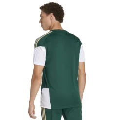adidas Italië Trainingsshirt 2026-2028 Groen Wit Goud