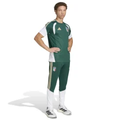 adidas Italië Trainingsshirt 2026-2028 Groen Wit Goud