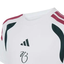 adidas Jude Bellingham Trainingsset Kids Wit Donkergroen Zwart Roze
