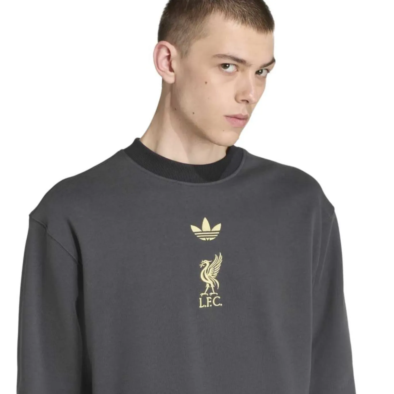 adidas Liverpool Lifestyler Crew Sweater Donkergrijs Goud
