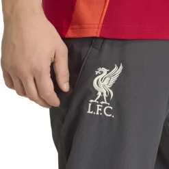 adidas Liverpool Presentatie Trainingsbroek 2025-2026 Grijs Rood Zilver