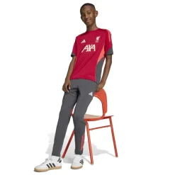 adidas Liverpool Trainingsbroek 2025-2026 Kids Grijs Rood