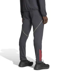 adidas Olympique Lyon Presentatie Trainingsbroek 2025-2026 Donkergrijs Goud Rood Blauw