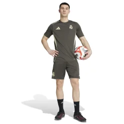 adidas Real Madrid Trainingsset 2025-2026 Grijs Lichtgroen